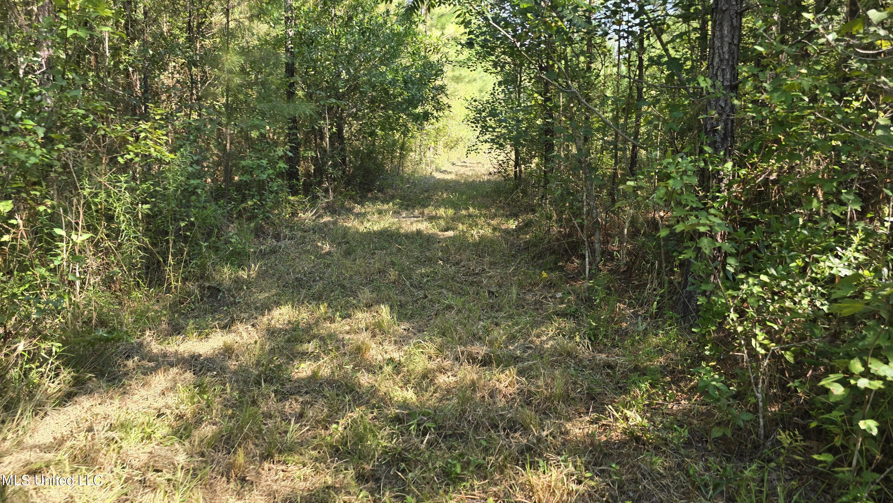 0 Davis Road Purvis, MS 39475 - Photo 29 of 51 20250825_101934