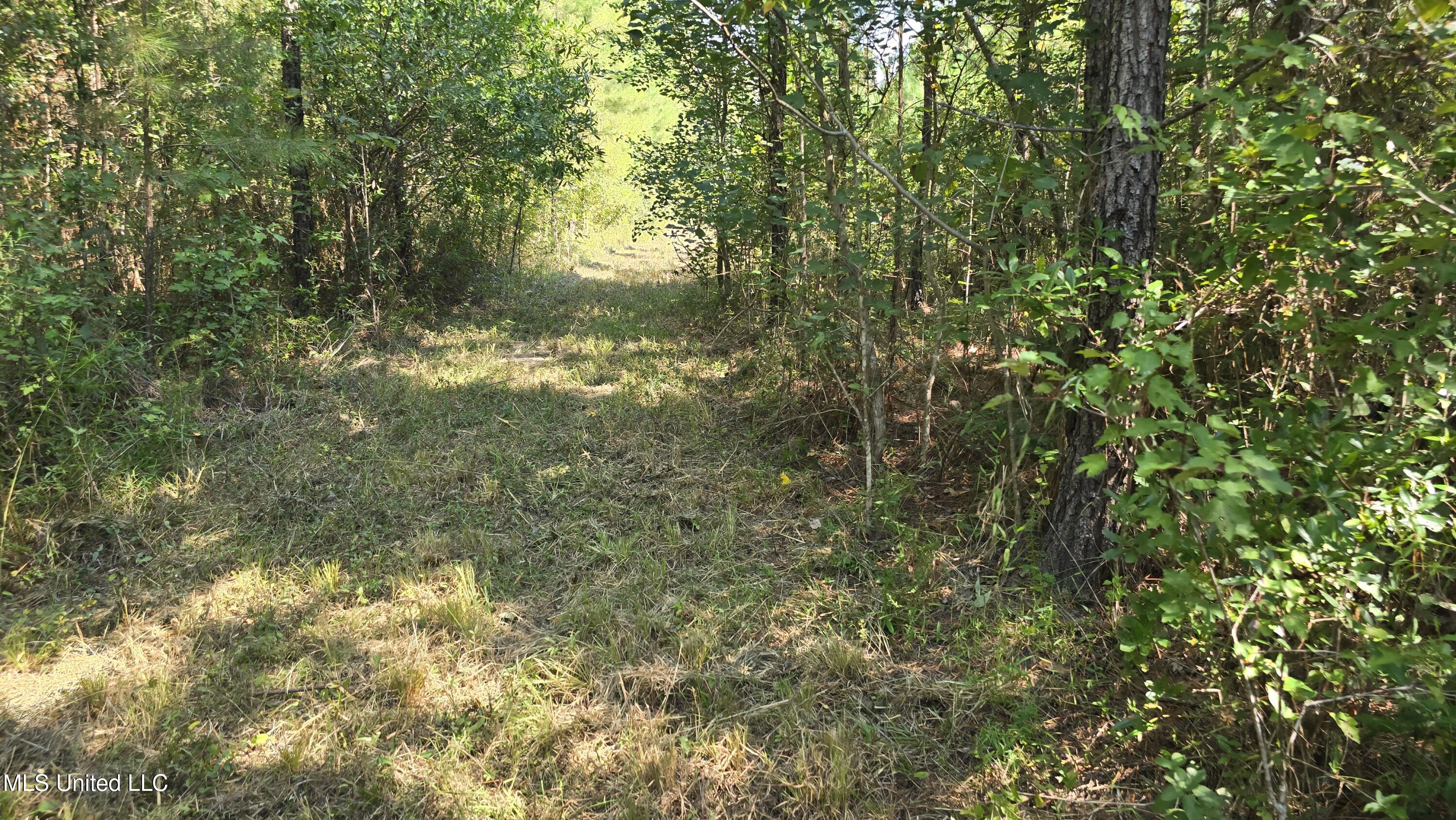 0 Davis Road Purvis, MS 39475 - Photo 30 of 51 20250825_101935