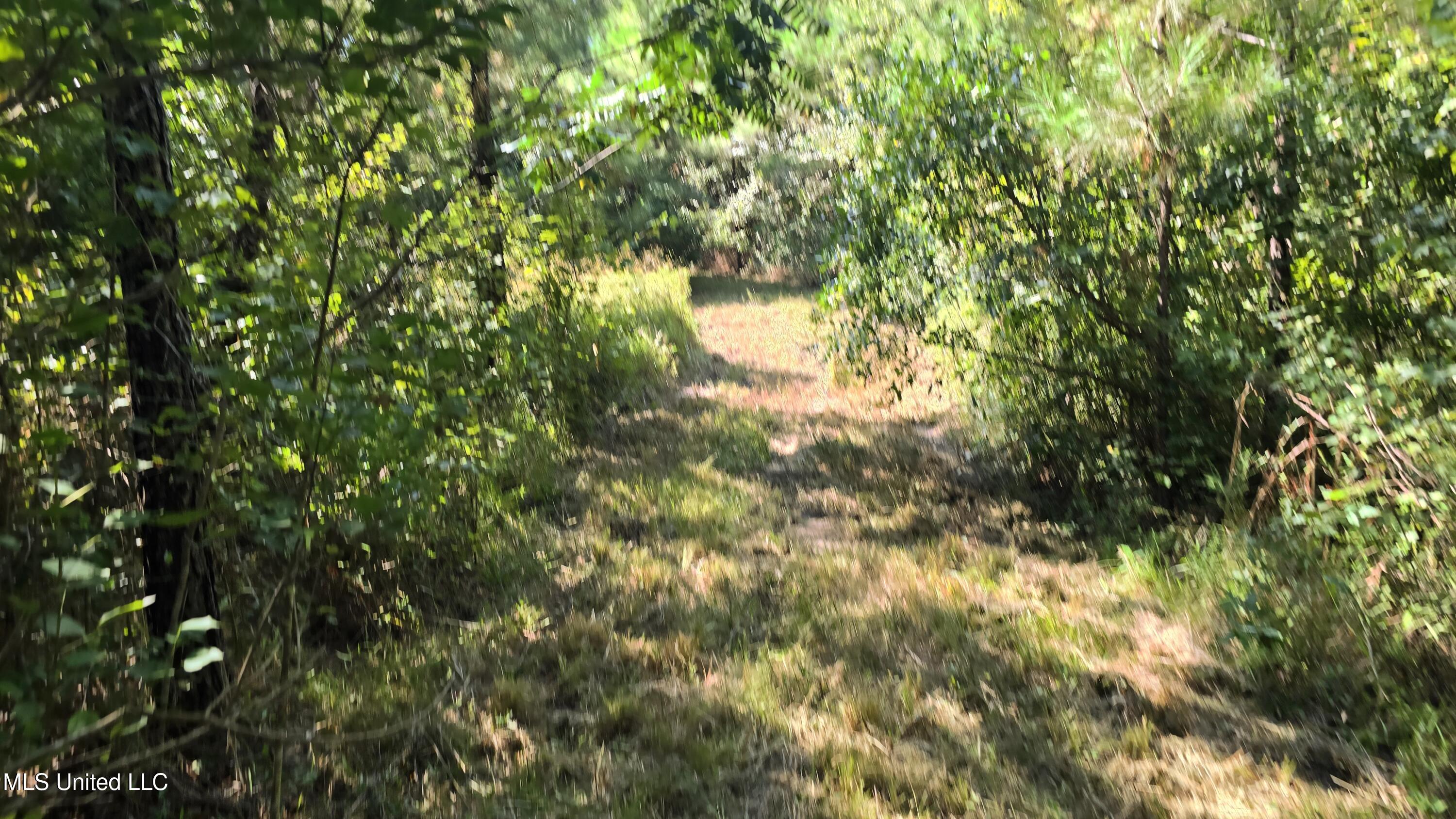 0 Davis Road Purvis, MS 39475 - Photo 31 of 51 20250825_101950