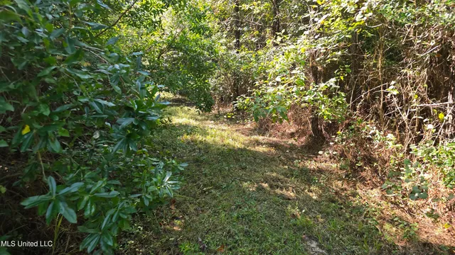 $315,315 | 0 Davis Road, Purvis, MS 39475