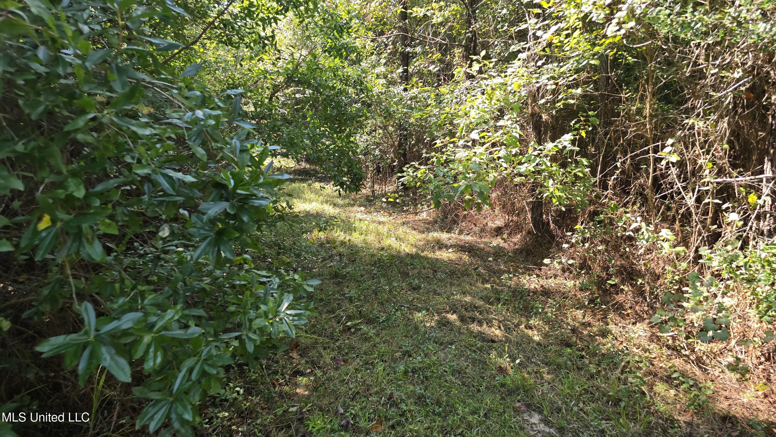 0 Davis Road Purvis, MS 39475 - Photo 32 of 51 20250825_102011