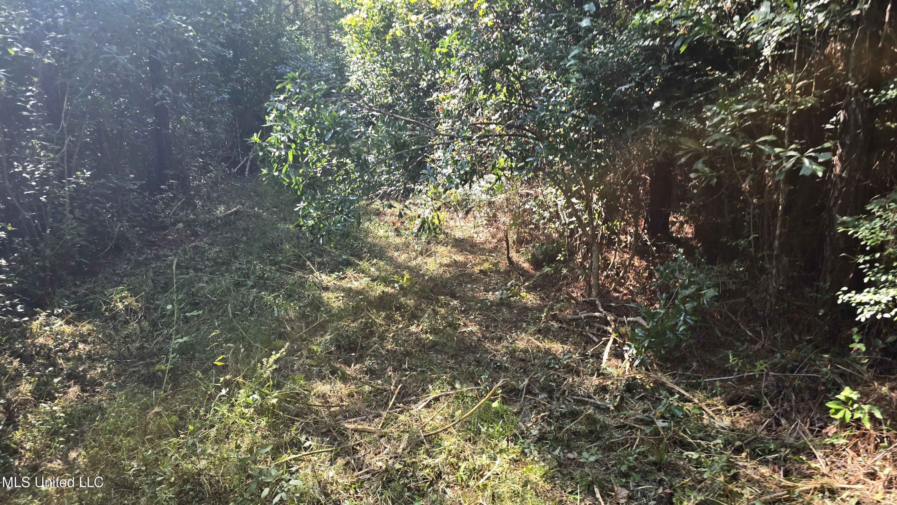 0 Davis Road Purvis, MS 39475 - Photo 33 of 51 20250825_102034