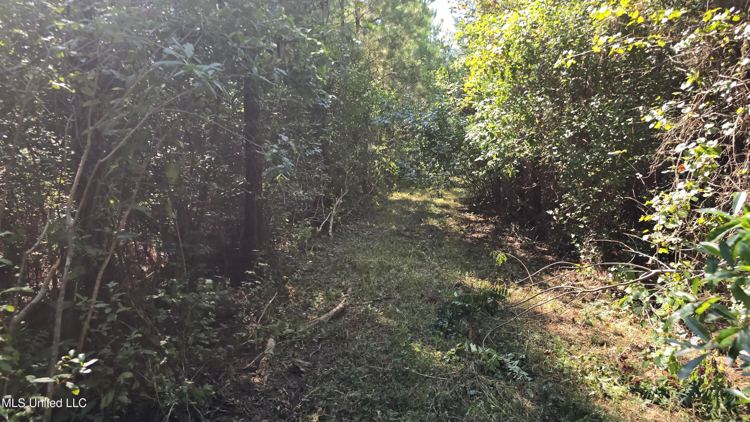 0 Davis Road Purvis, MS 39475 - Photo 34 of 51 20250825_102037