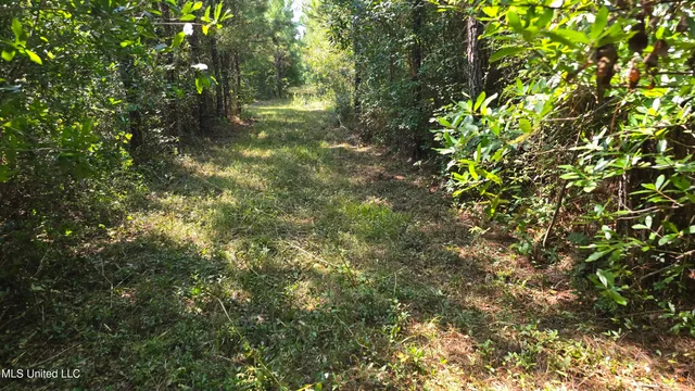 $315,315 | 0 Davis Road, Purvis, MS 39475