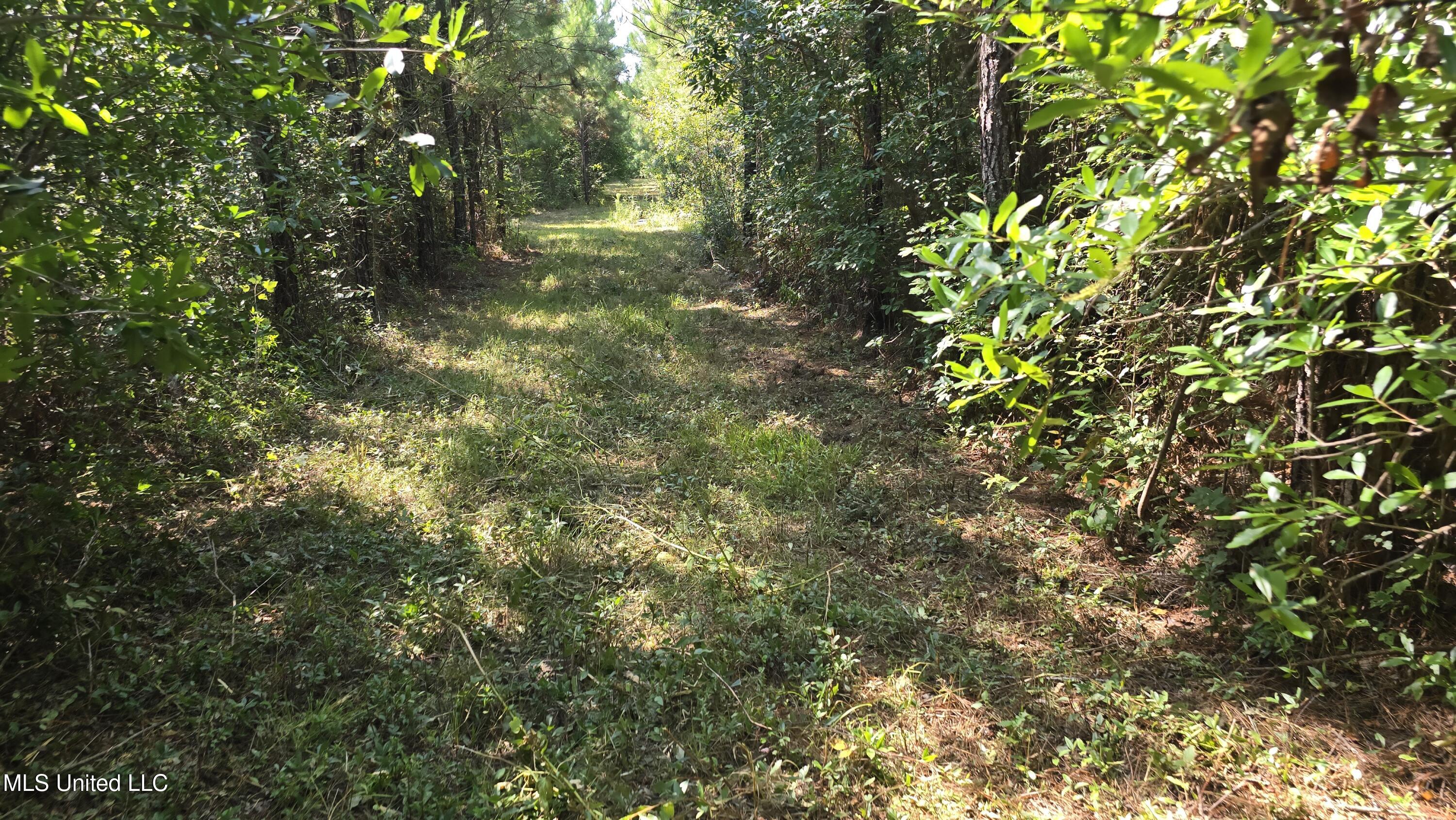 0 Davis Road Purvis, MS 39475 - Photo 36 of 51 20250825_102110