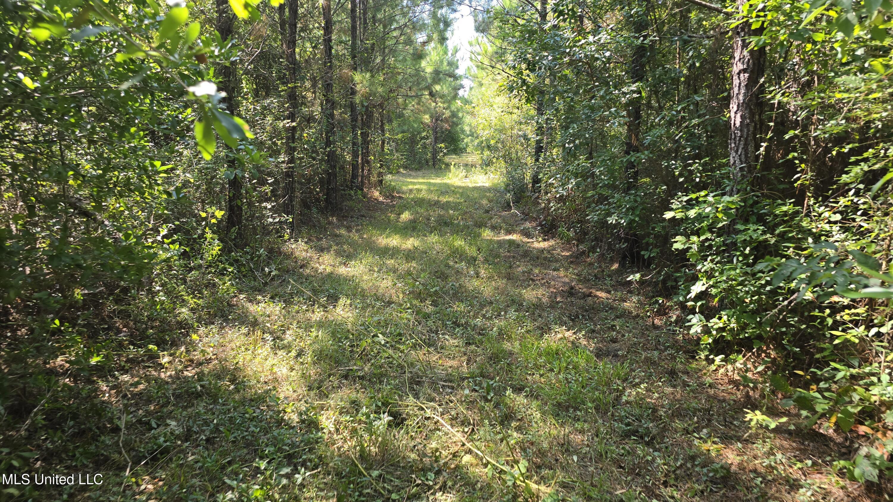 0 Davis Road Purvis, MS 39475 - Photo 37 of 51 20250825_102111