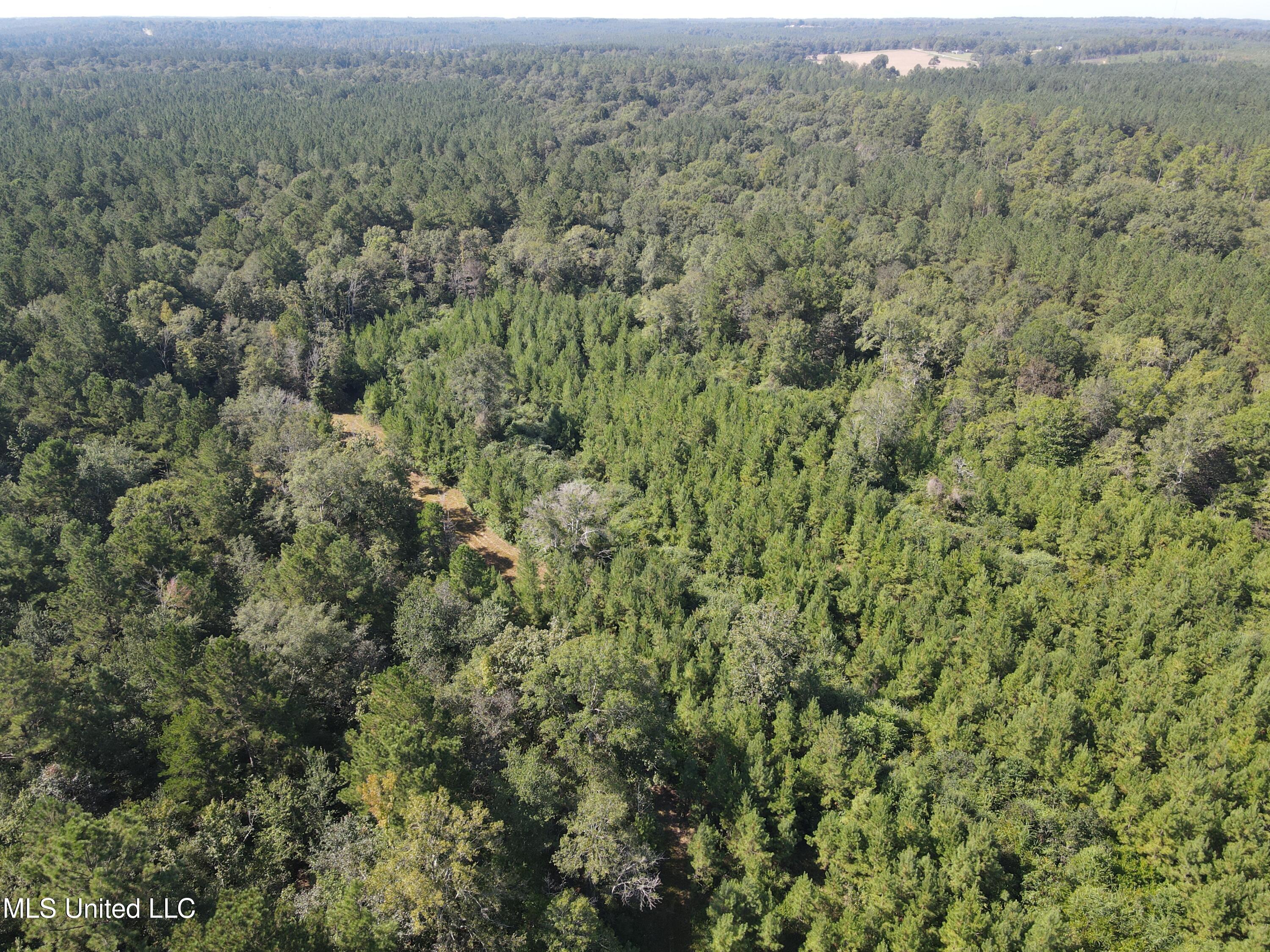0 Davis Road Purvis, MS 39475 - Photo 38 of 51 DJI_0802