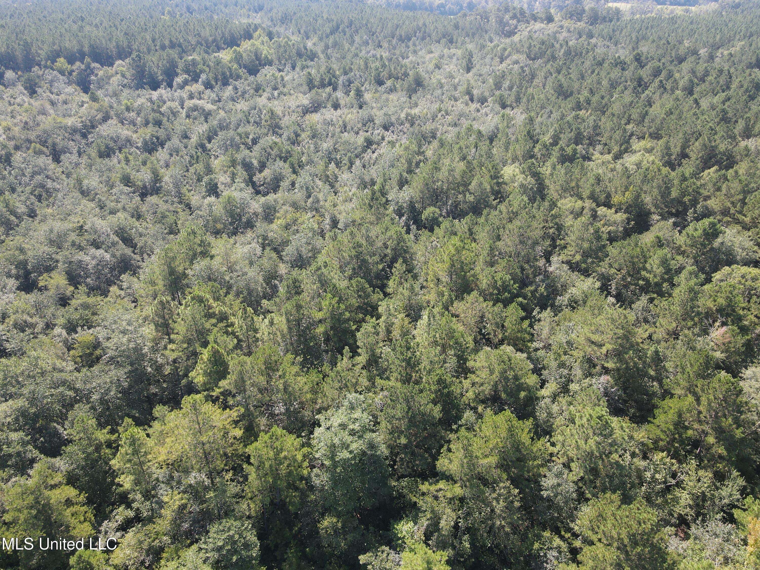 0 Davis Road Purvis, MS 39475 - Photo 39 of 51 DJI_0803