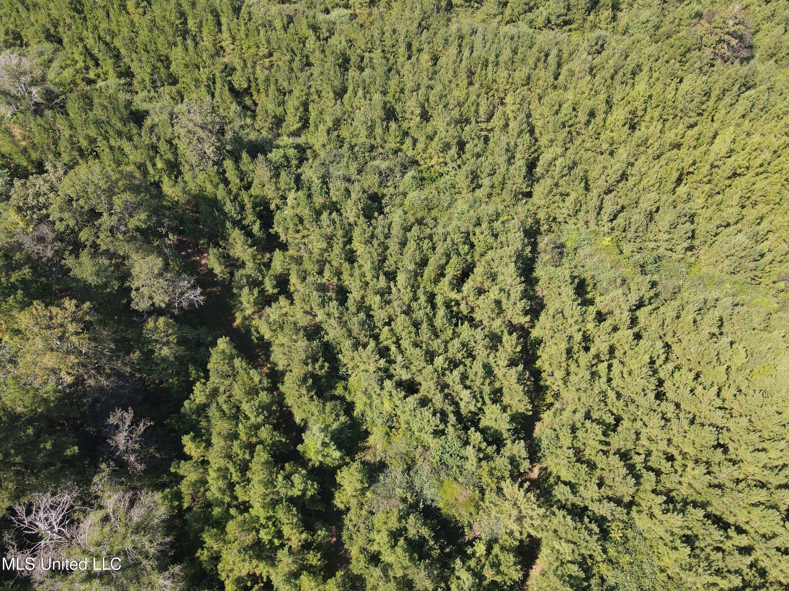 0 Davis Road Purvis, MS 39475 - Photo 40 of 51 DJI_0804