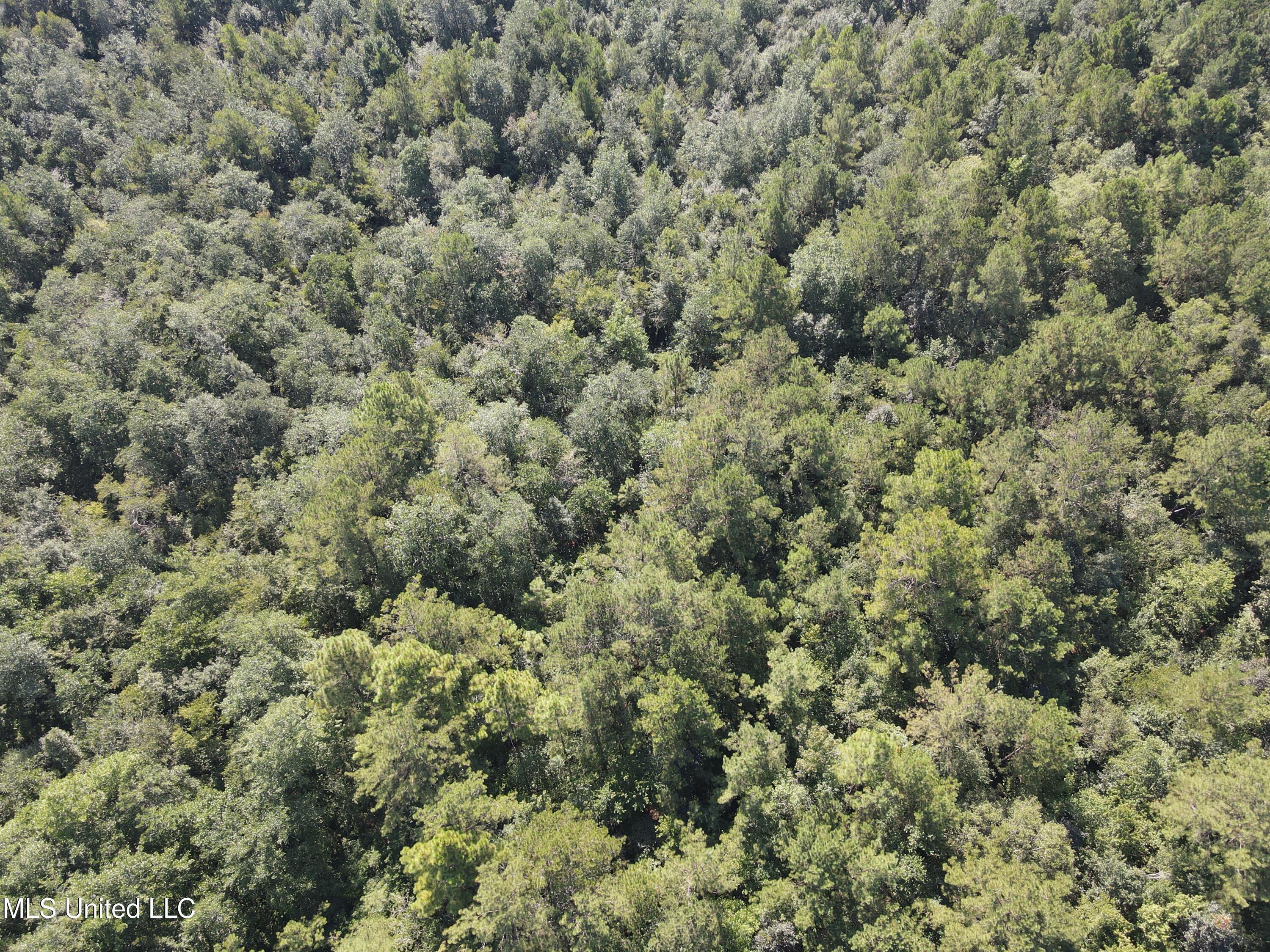 0 Davis Road Purvis, MS 39475 - Photo 42 of 51 DJI_0806