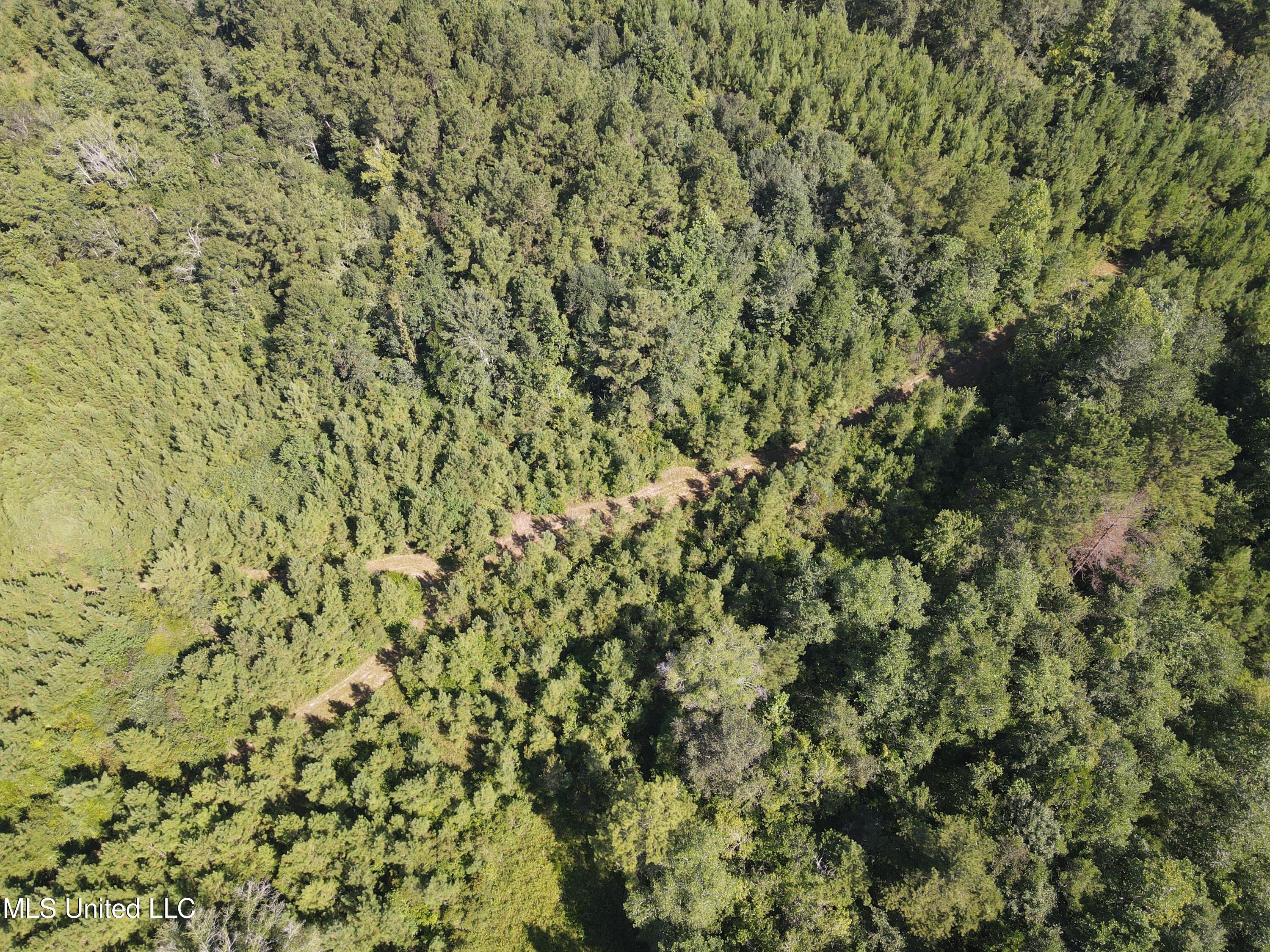 0 Davis Road Purvis, MS 39475 - Photo 43 of 51 DJI_0807