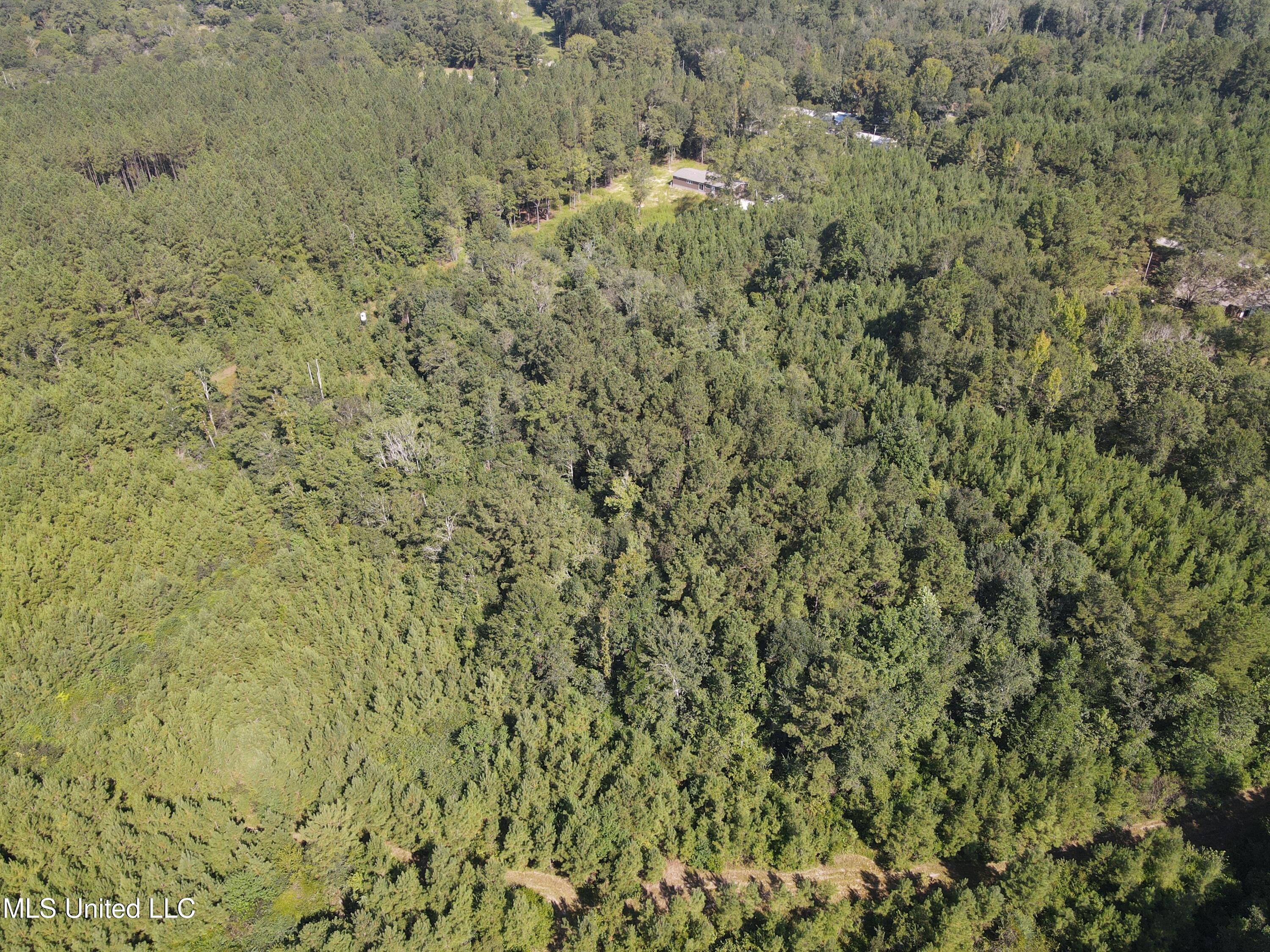 0 Davis Road Purvis, MS 39475 - Photo 44 of 51 DJI_0808