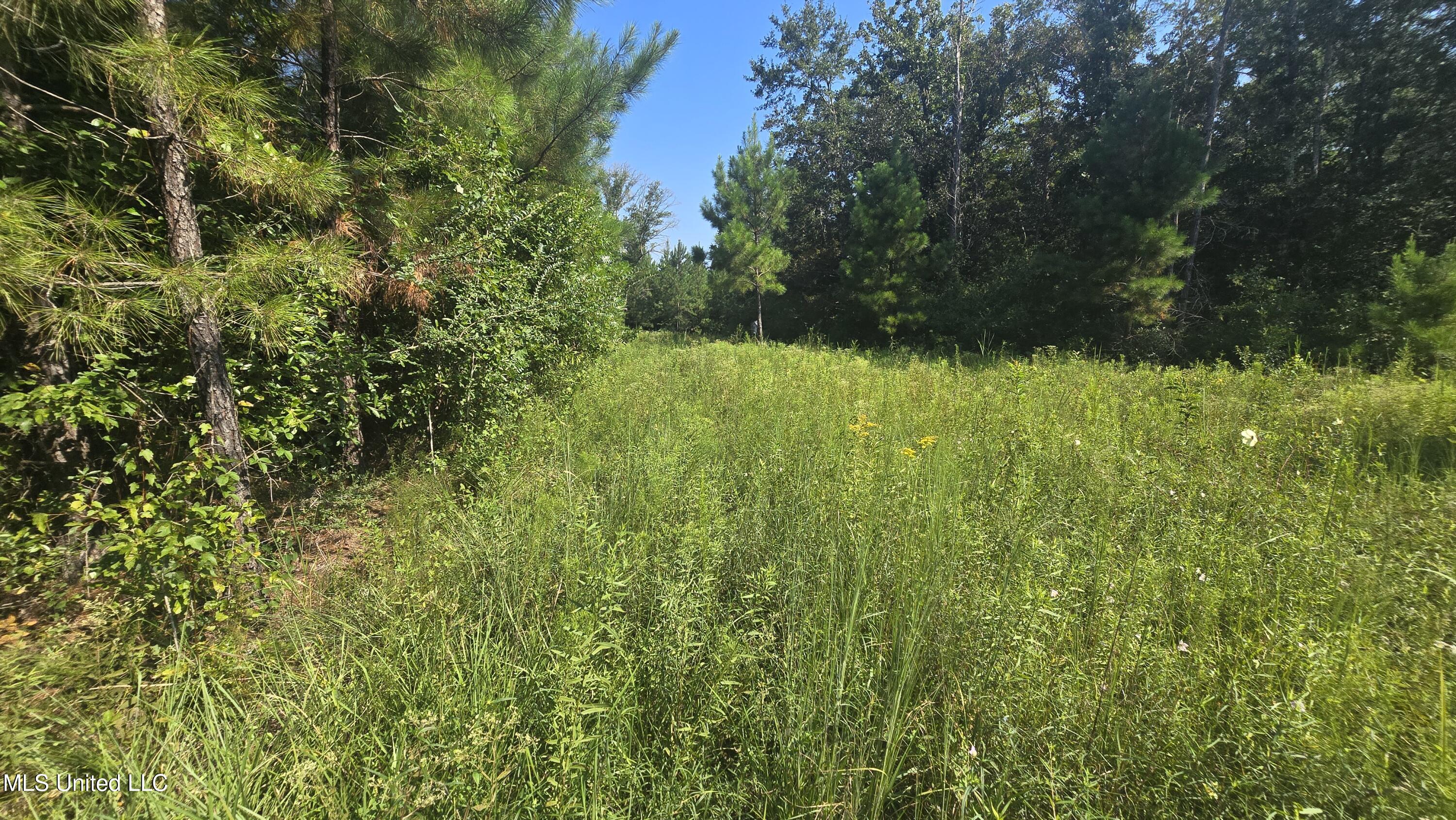 0 Davis Road Purvis, MS 39475 - Photo 45 of 51 20250819_100857