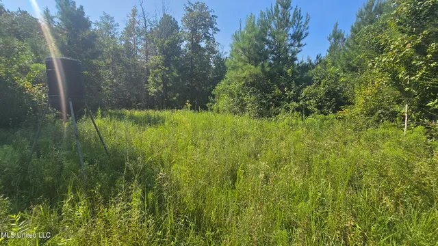 $315,315 | 0 Davis Road, Purvis, MS 39475