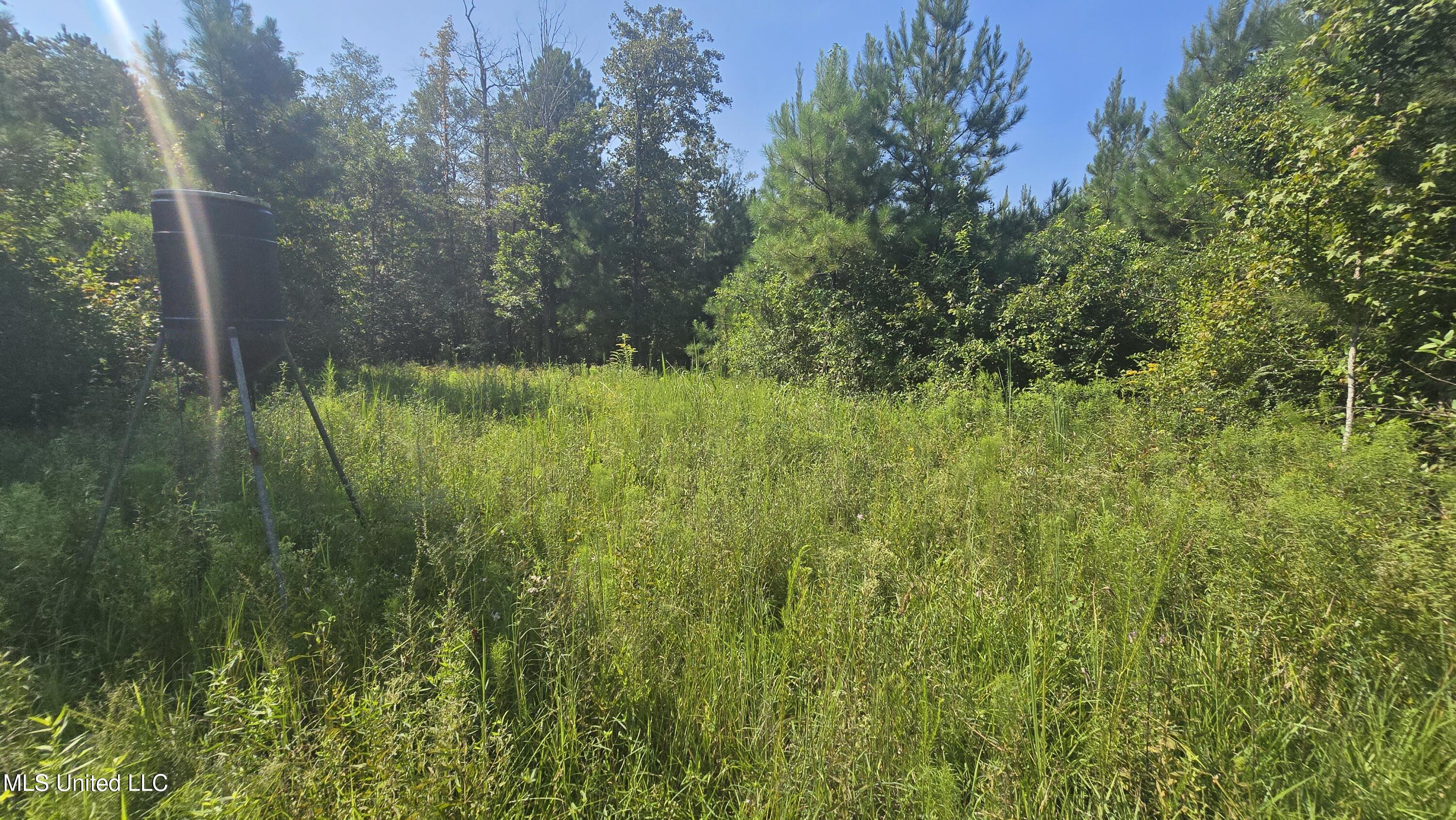 0 Davis Road Purvis, MS 39475 - Photo 46 of 51 20250819_100901