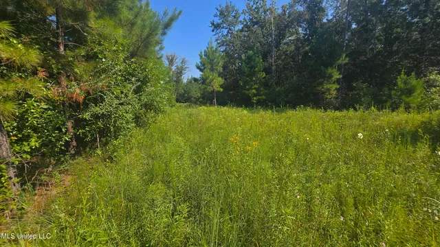 $315,315 | 0 Davis Road, Purvis, MS 39475