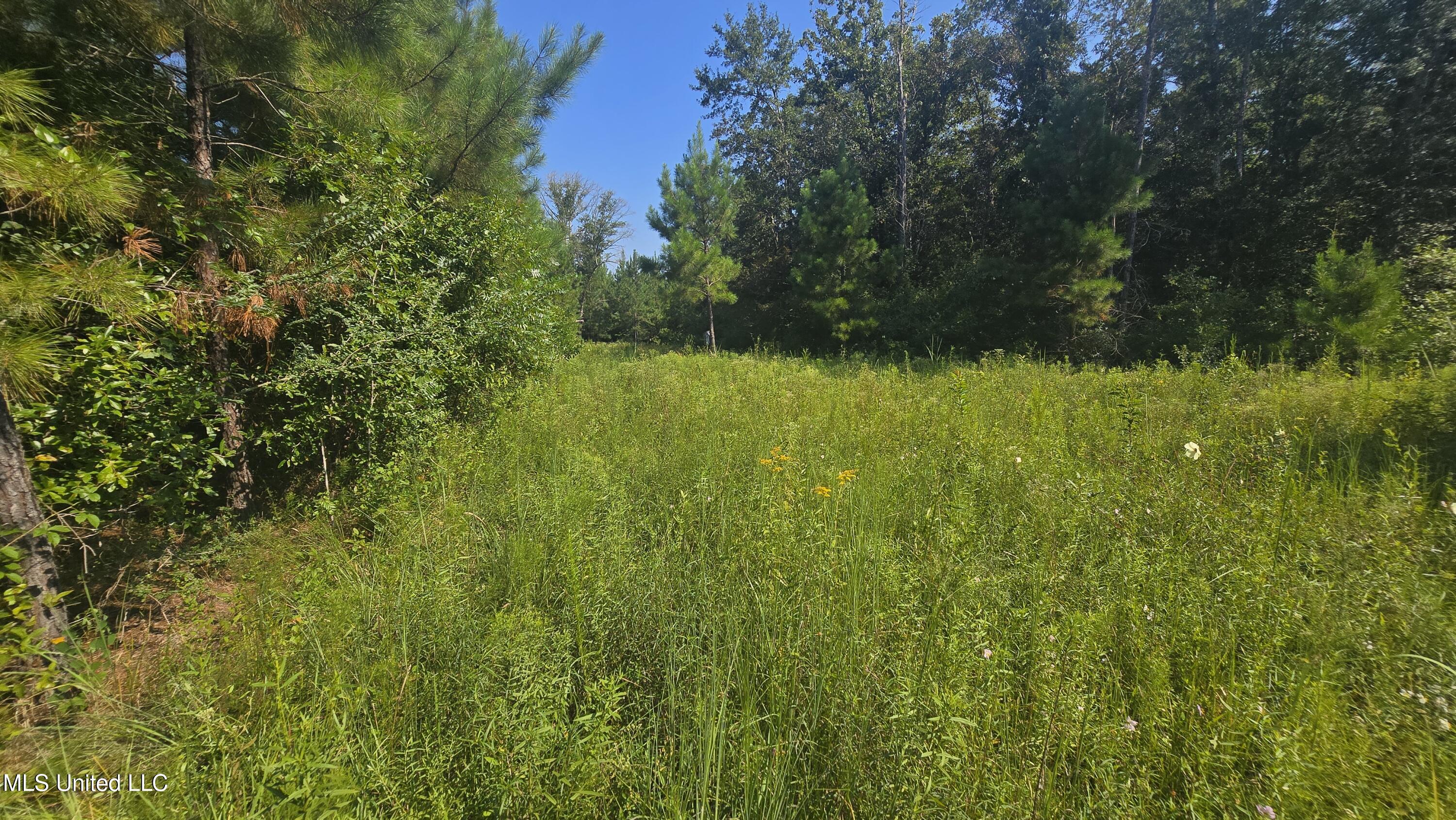 0 Davis Road Purvis, MS 39475 - Photo 47 of 51 20250819_100905