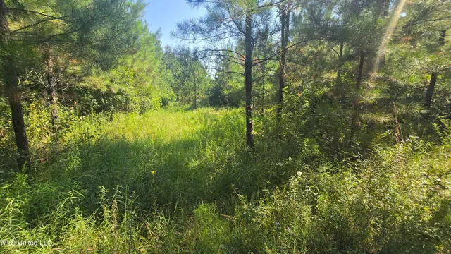 $315,315 | 0 Davis Road, Purvis, MS 39475