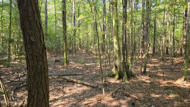 $315,315 | 0 Davis Road, Purvis, MS 39475