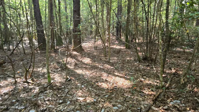 $315,315 | 0 Davis Road, Purvis, MS 39475