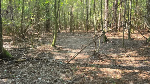 $257,850 | 0 Davis Road, Purvis, MS 39475