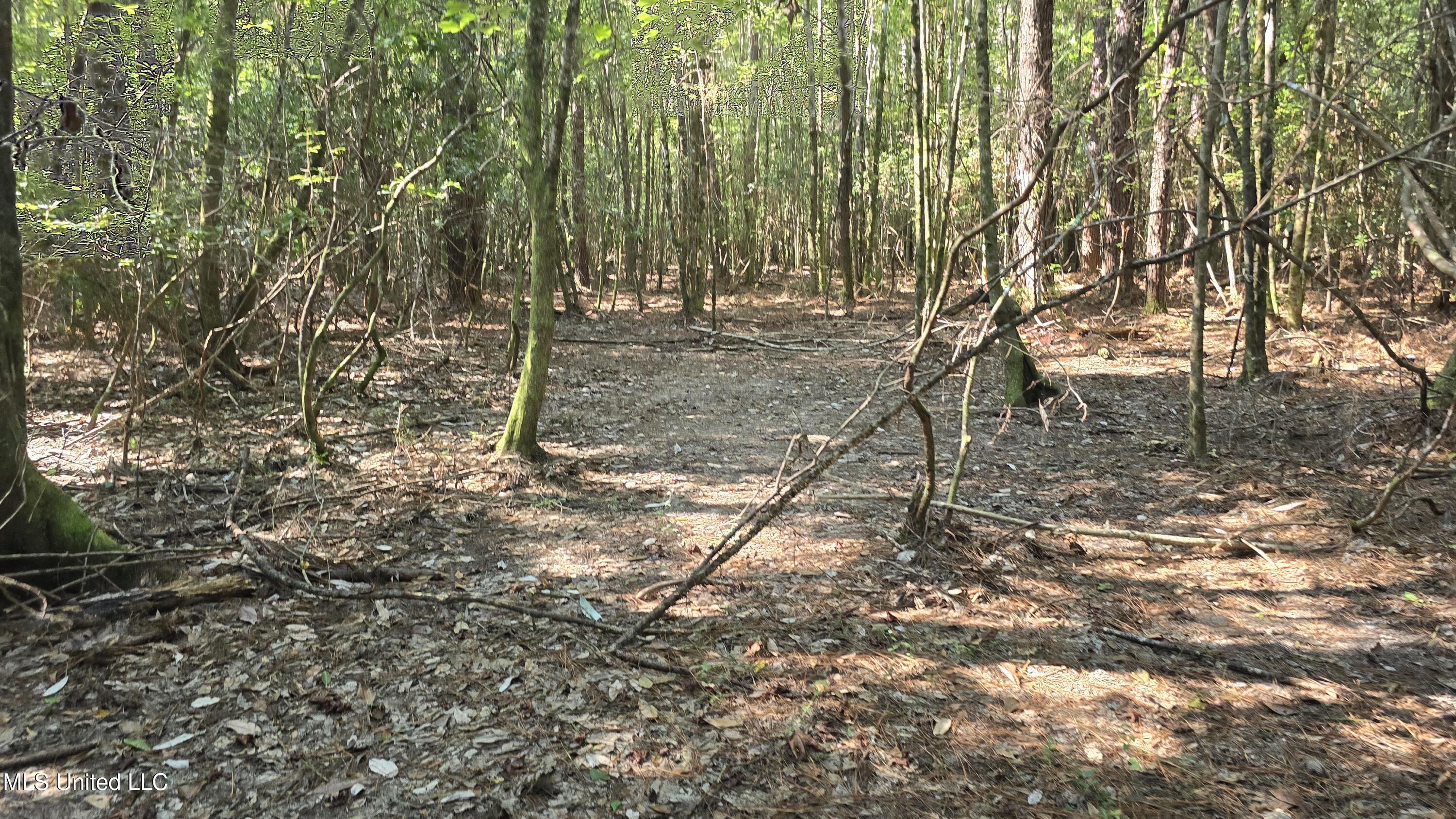 0 Davis Road Purvis, MS 39475 - Photo 7 of 51 20250825_095722