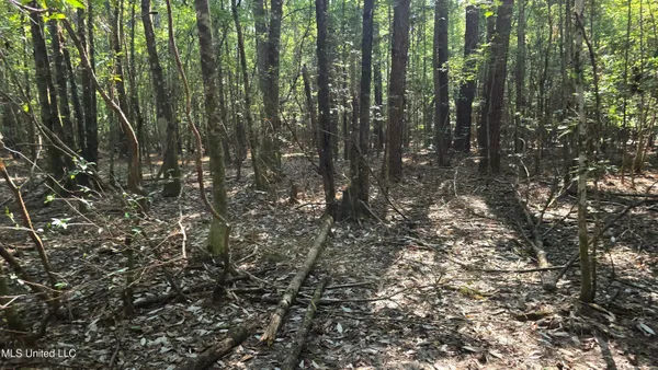 $257,850 | 0 Davis Road, Purvis, MS 39475