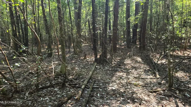 $315,315 | 0 Davis Road, Purvis, MS 39475