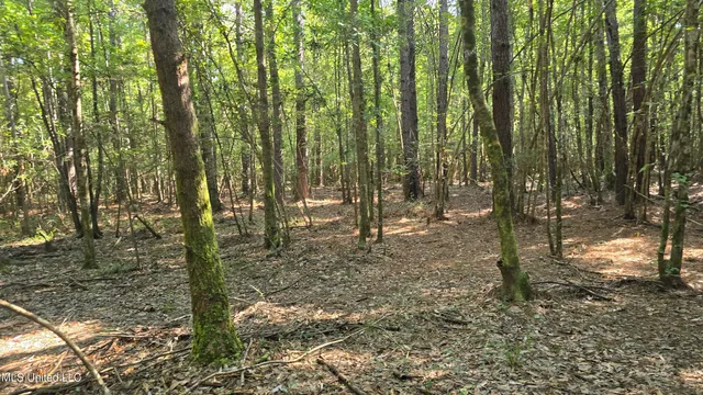 $315,315 | 0 Davis Road, Purvis, MS 39475