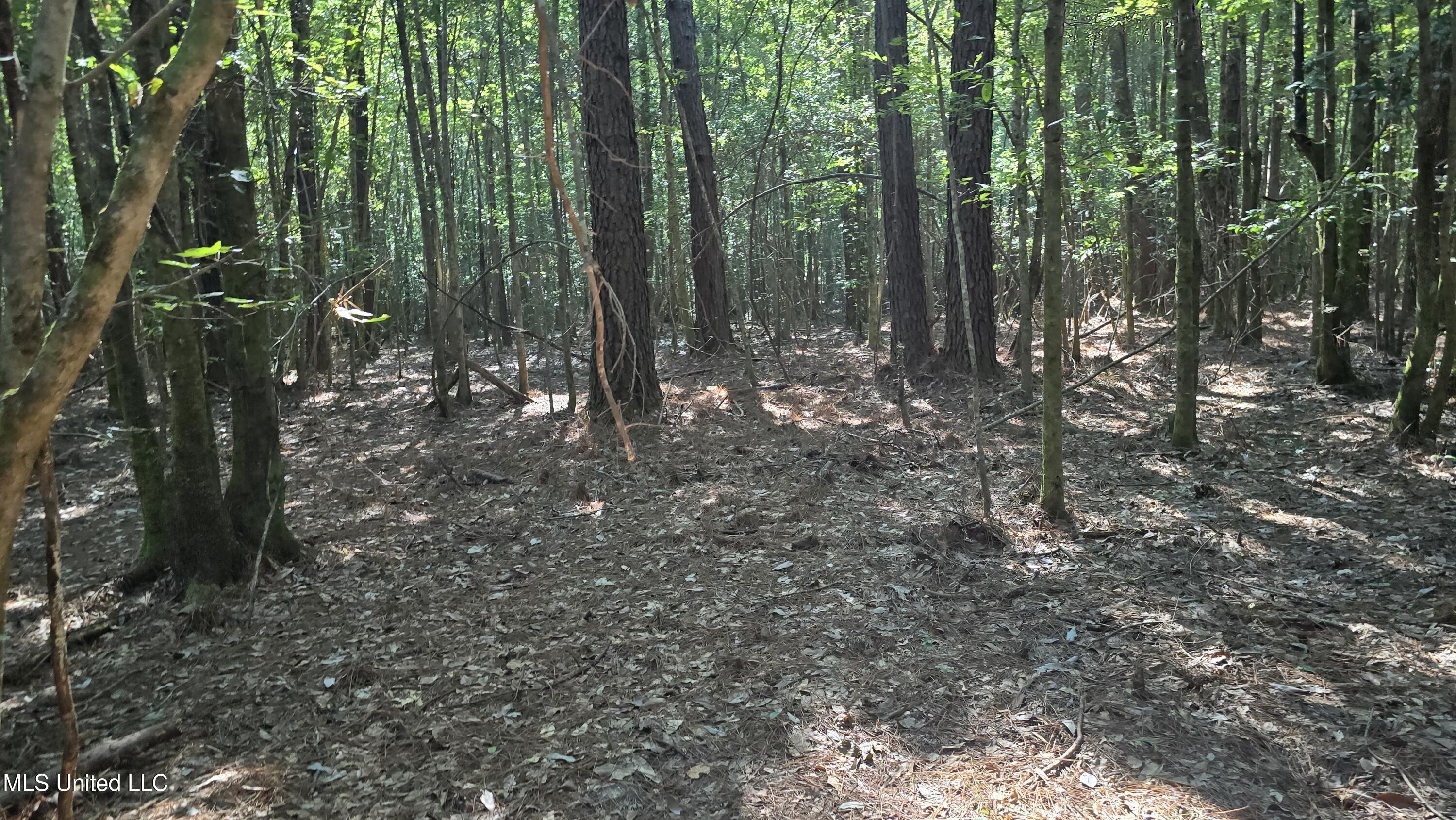 0 Davis Road Purvis, MS 39475 - Photo 10 of 51 20250825_095803