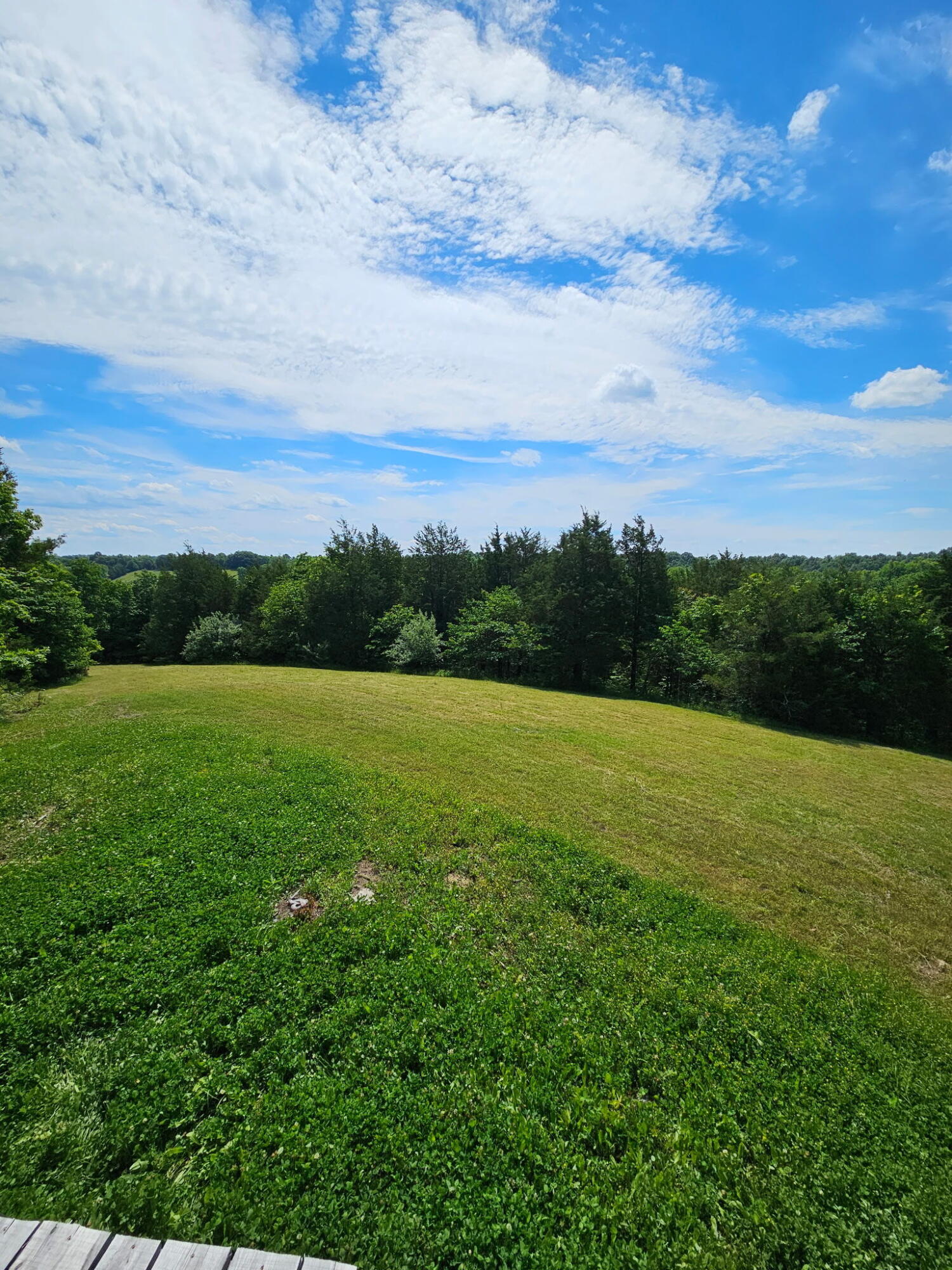980 Corinth Road Corinth, KY 41010 - Photo 47 of 52