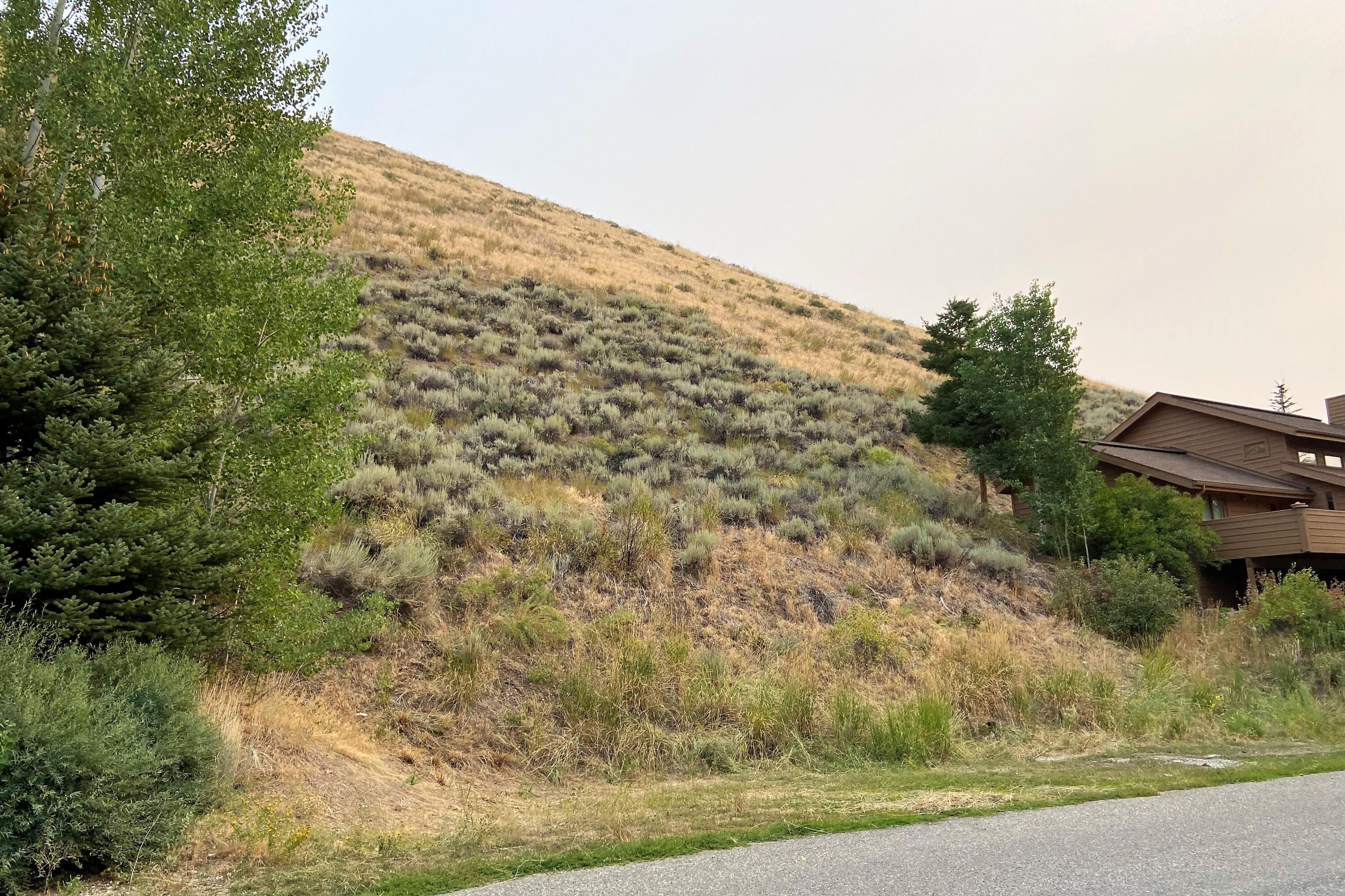 231 Hillside Drive Ketchum, ID 83340 - Photo 3 of 12 Street view right