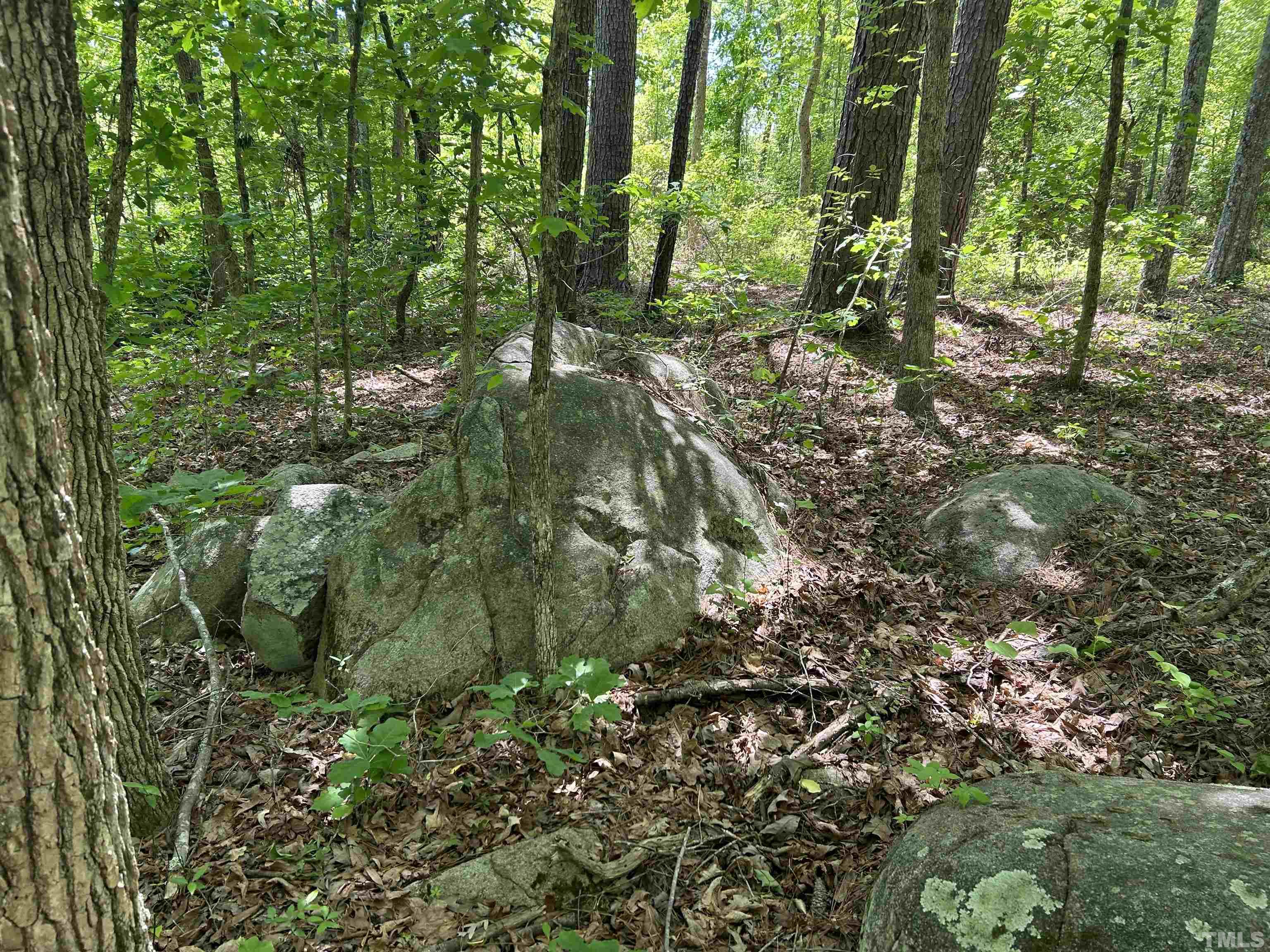 4025 Hamlets Chapel Road Pittsboro, NC 27312 - Photo 1 of 6 Gallery Image 1