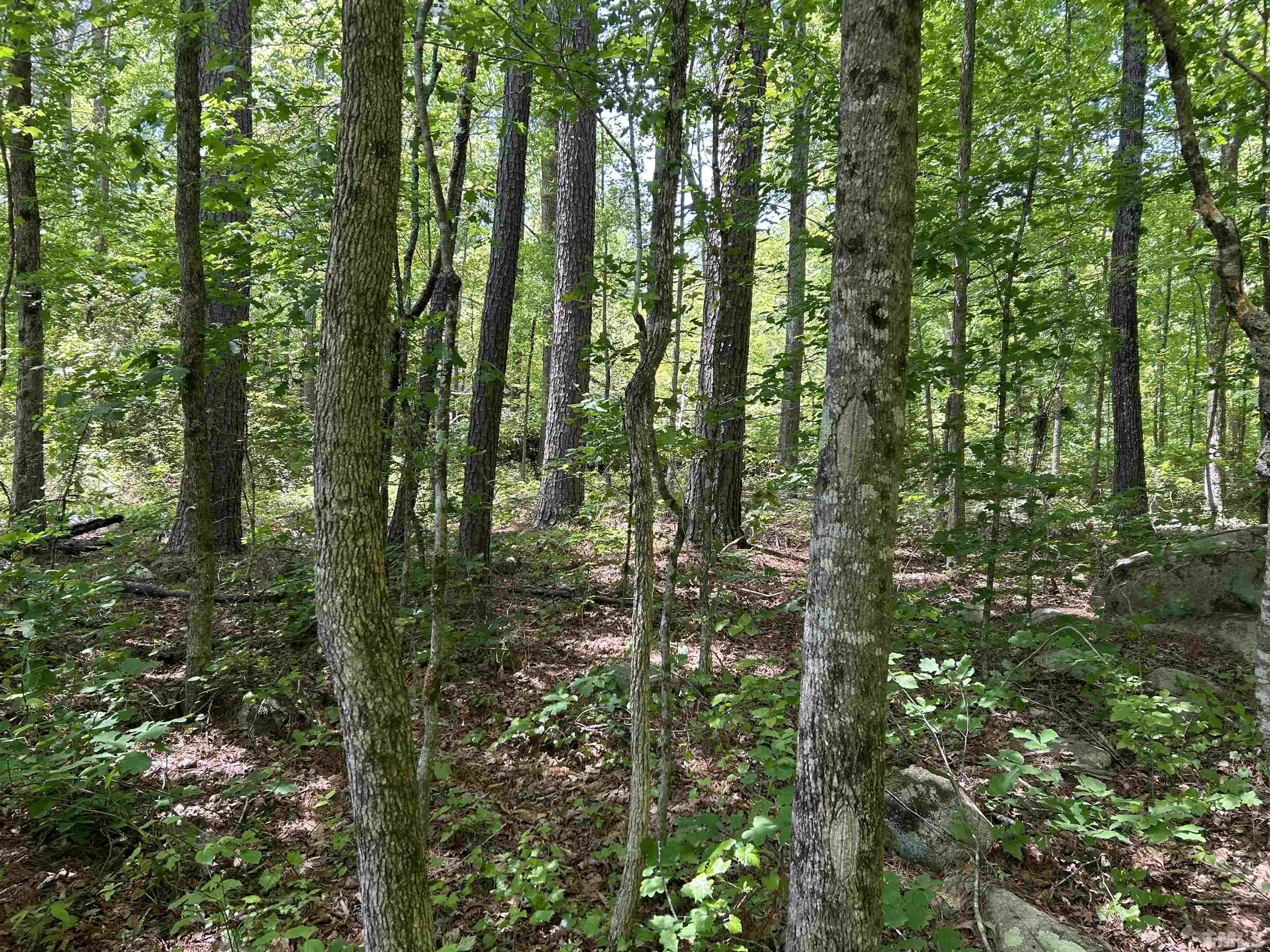 4025 Hamlets Chapel Road Pittsboro, NC 27312 - Photo 2 of 6 Gallery Image 2