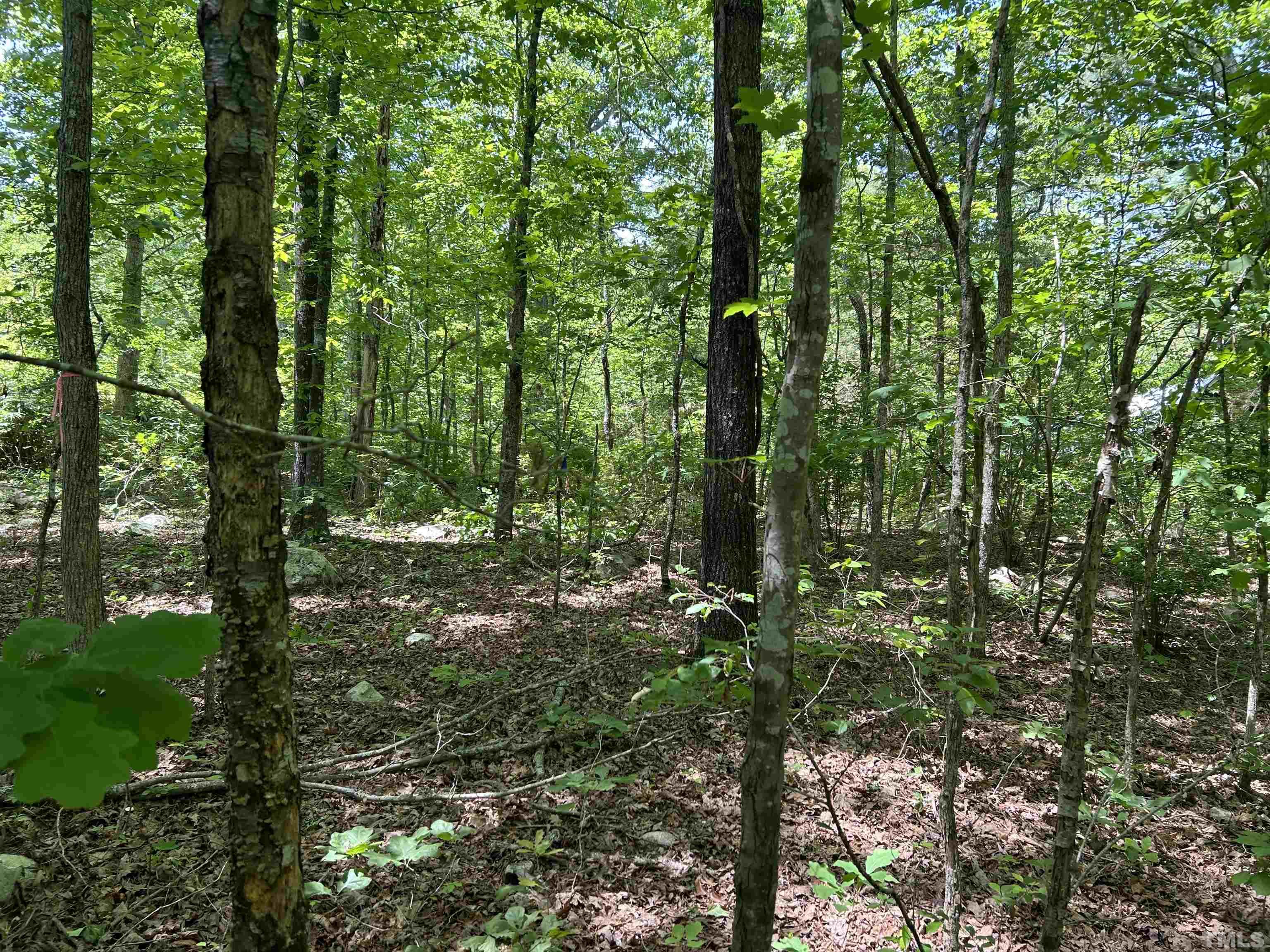 4025 Hamlets Chapel Road Pittsboro, NC 27312 - Photo 3 of 6 Gallery Image 3