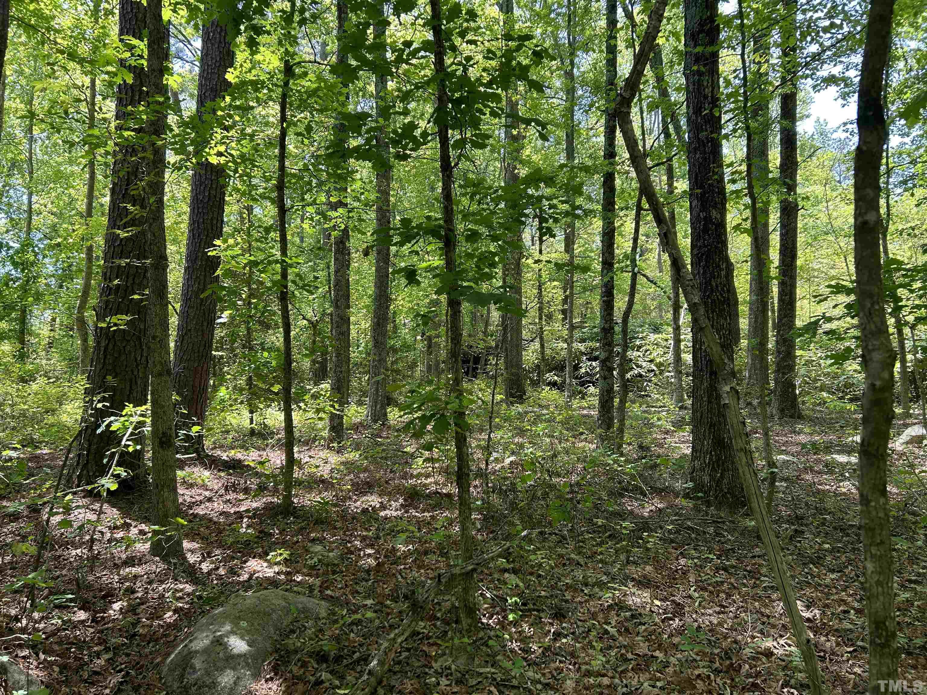4025 Hamlets Chapel Road Pittsboro, NC 27312 - Photo 4 of 6 Gallery Image 4
