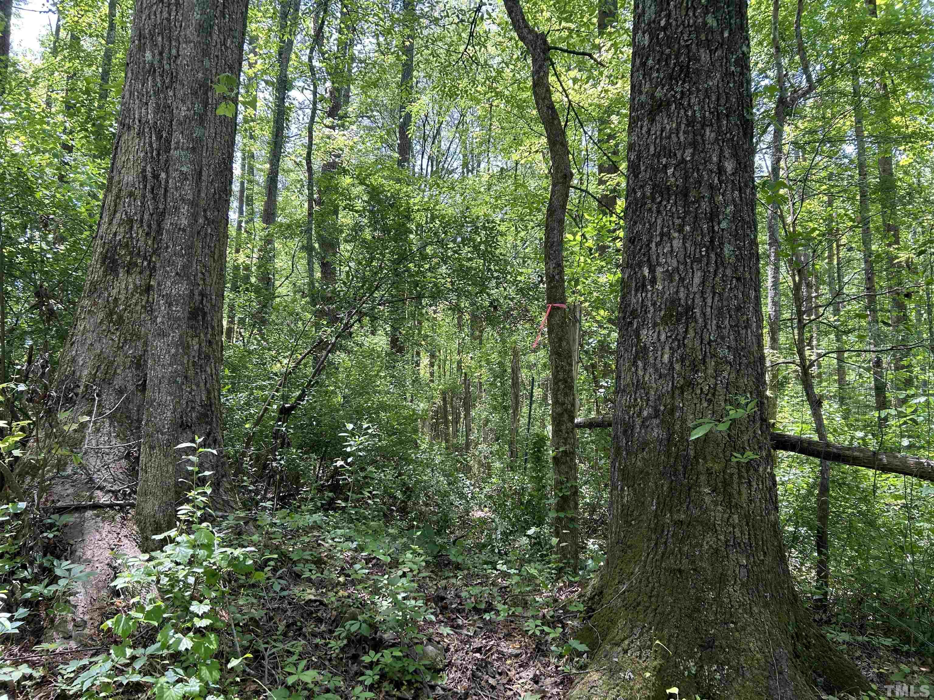 4025 Hamlets Chapel Road Pittsboro, NC 27312 - Photo 5 of 6 Gallery Image 5