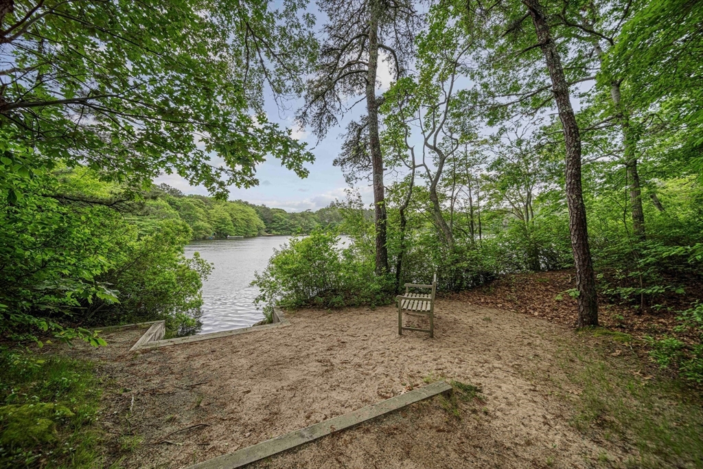 74 Fells Pond Road Mashpee, MA 02649 - Photo 30 of 36 a view of a forest with trees