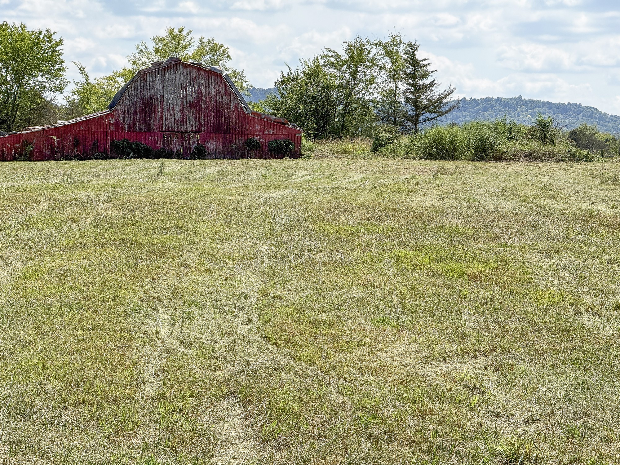 6789 Ridley Earp Road Christiana, TN 37037 - Photo 4 of 14 Gallery Image 4