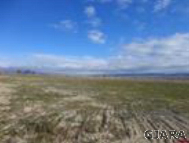 Tract 40 5950th Road Olathe, CO 81425 - Photo 1 of 3 Gallery Image 1
