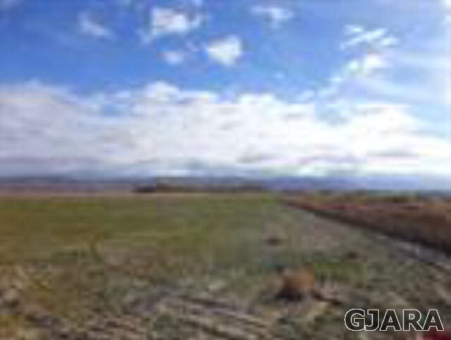 Tract 40 5950th Road Olathe, CO 81425 - Photo 2 of 3 Gallery Image 2