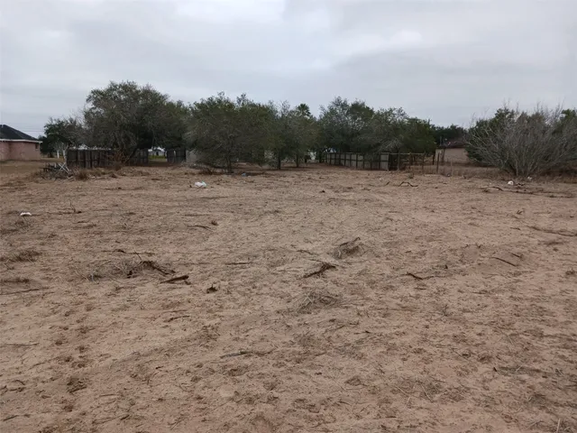 $210,000 | 513 County Road 205, Falfurrias, TX 78355