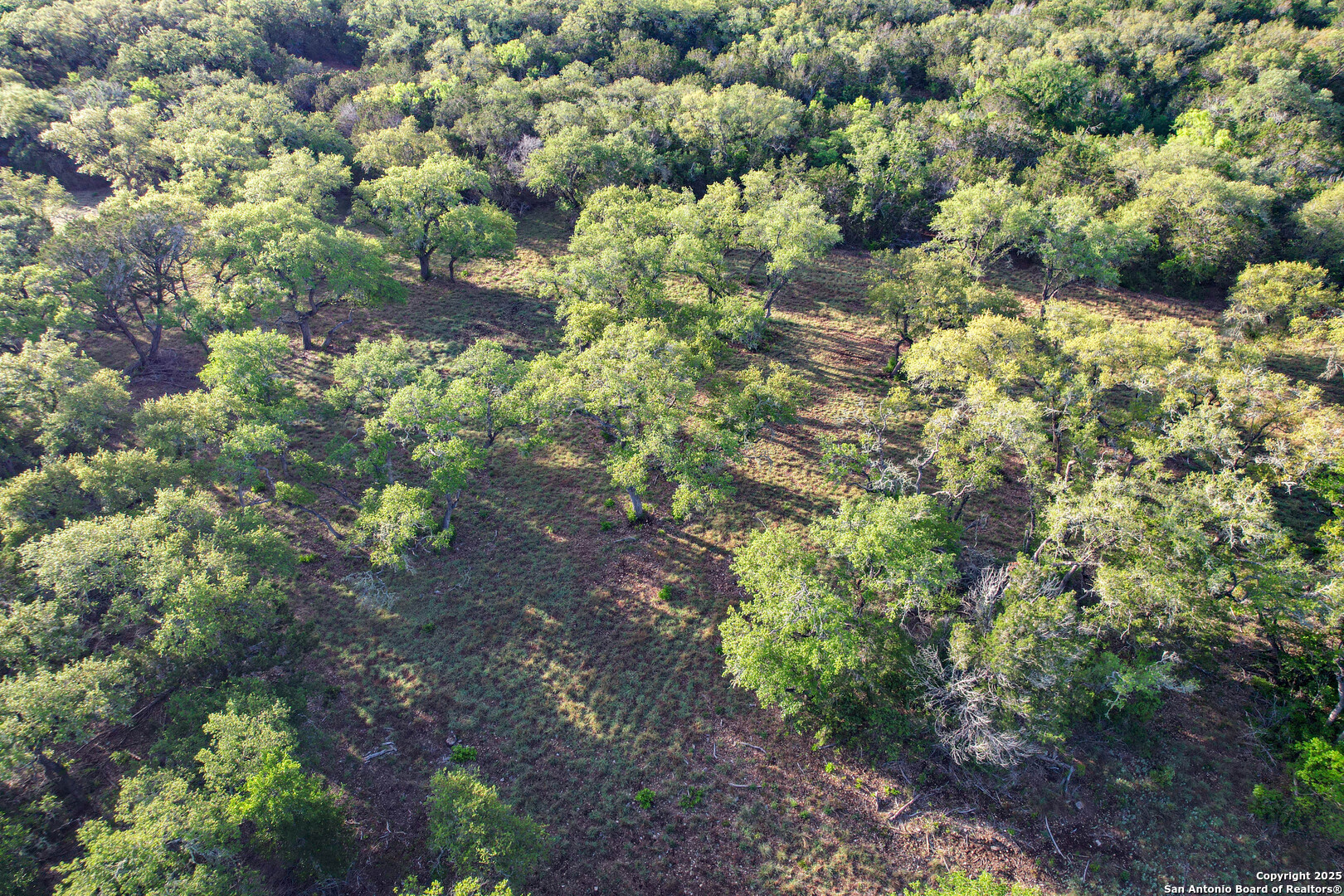 Tbd Pr 233 Hondo, TX 78861 - Photo 12 of 35 a view of a garden with plants