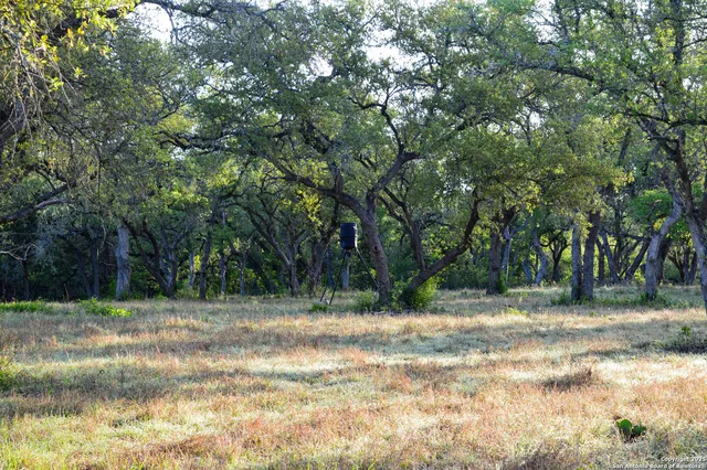 a view of a field with trees in the background