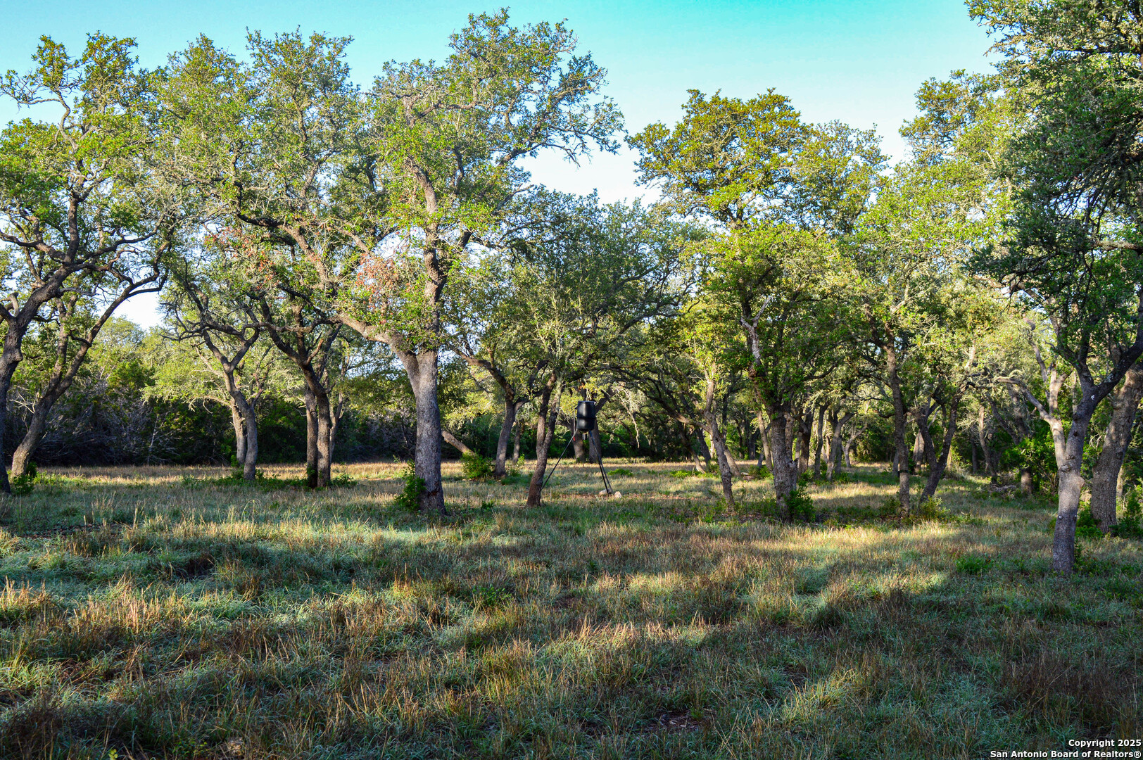 Tbd Pr 233 Hondo, TX 78861 - Photo 17 of 35 a view of a park with trees in the background