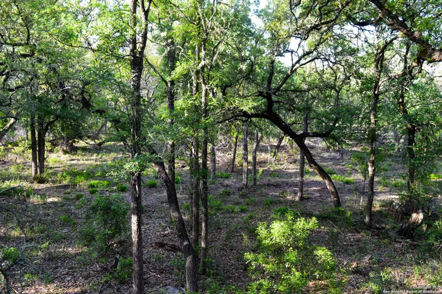 a view of lake with green space