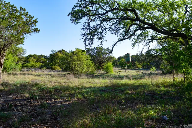 a green field with lots of trees