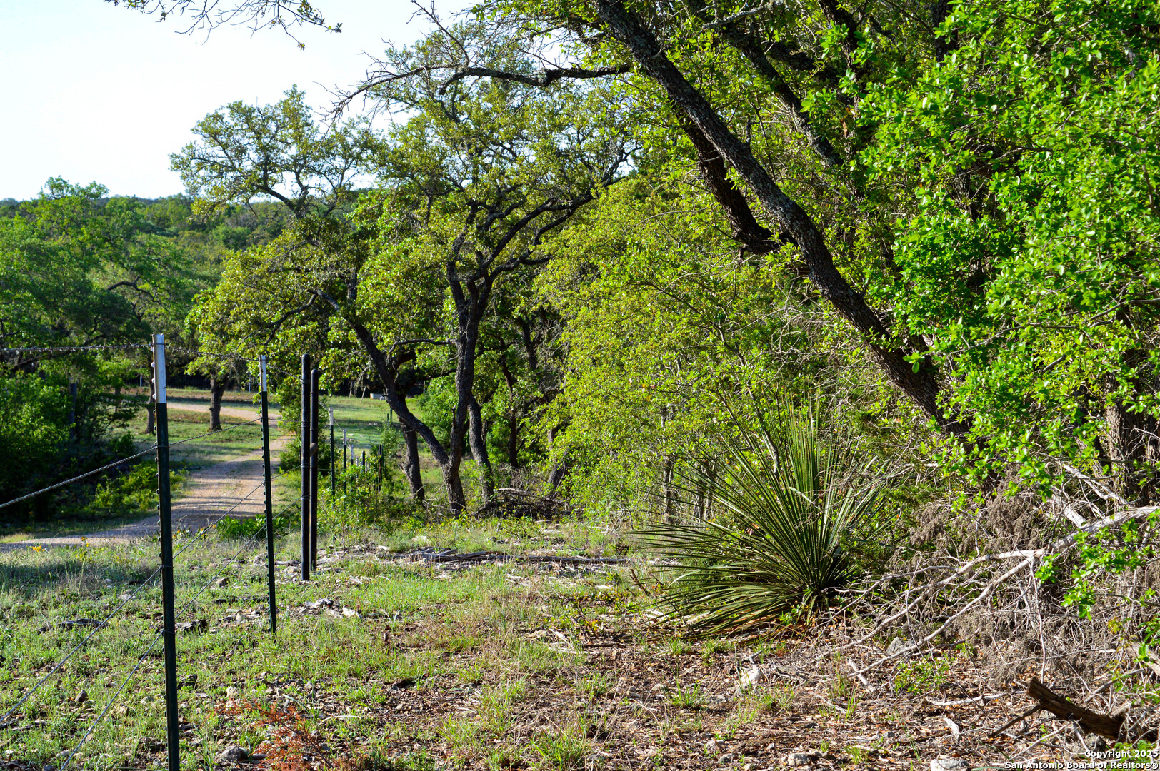 Tbd Pr 233 Hondo, TX 78861 - Photo 22 of 35 a green field with lots of trees