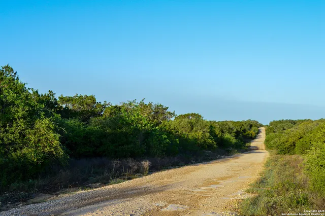 a view of outdoor space and green space