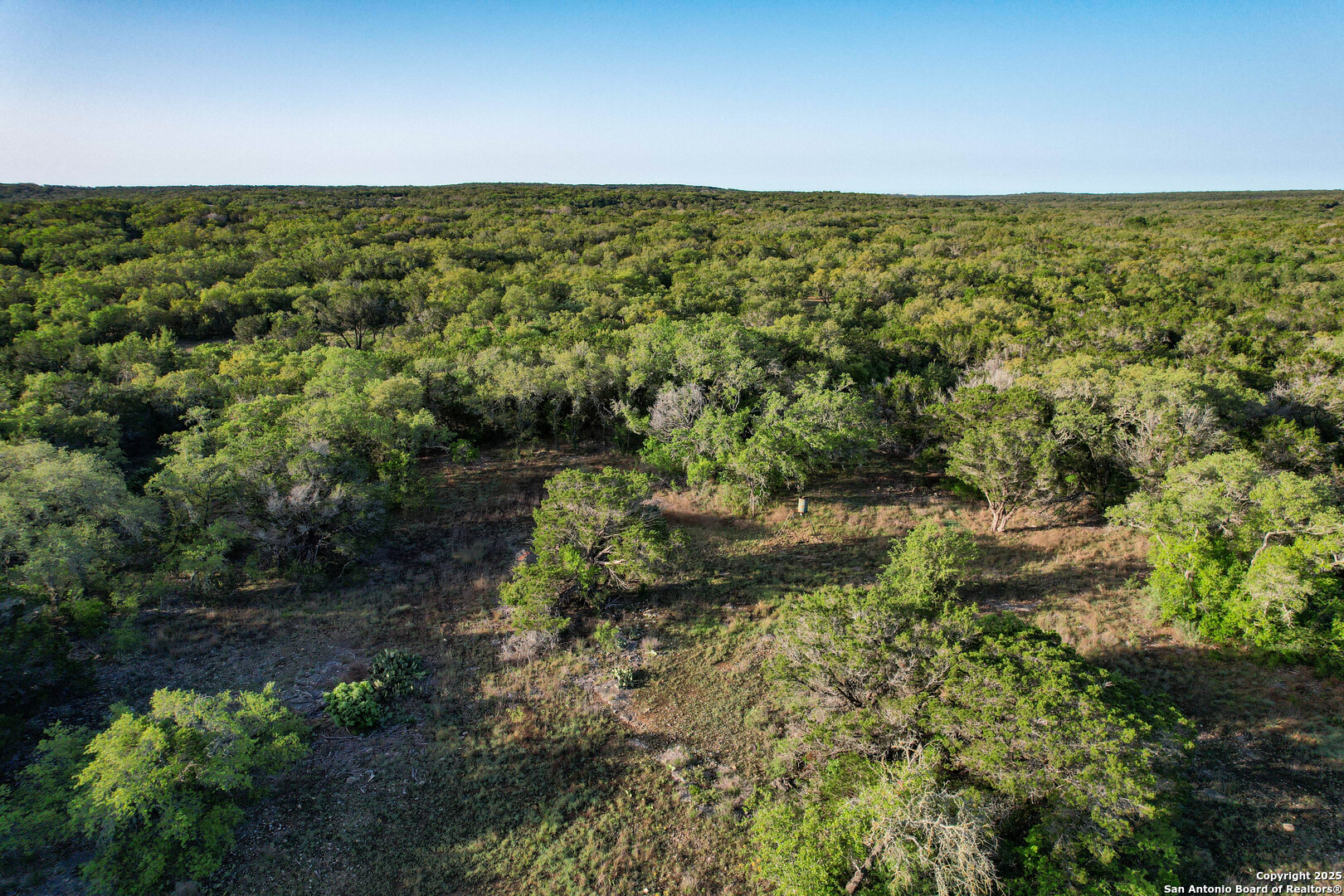 Tbd Pr 233 Hondo, TX 78861 - Photo 9 of 35 a view of a green field with lots of bushes